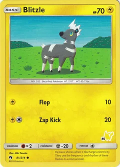 Blitzle - 81/214 (#45 Pikachu Stamped)
