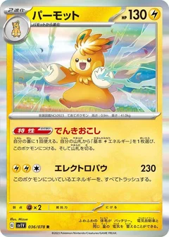 Pawmot - 036/078