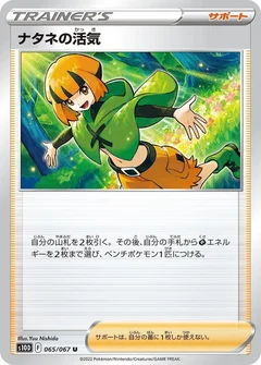 Gardenia's Vigor - 065/067