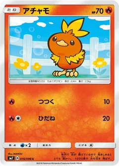 Torchic - 016/096