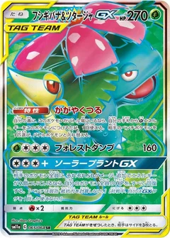 Venusaur & Snivy GX - 065/064
