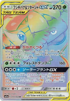 Venusaur & Snivy GX - 074/064