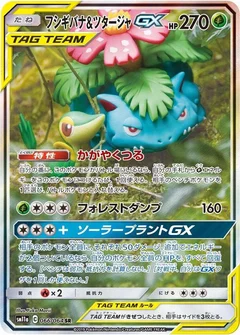 Venusaur & Snivy GX - 066/064