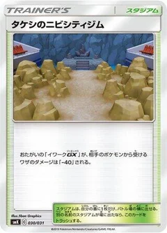 Brock's Pewter City Gym