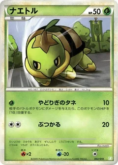 Turtwig