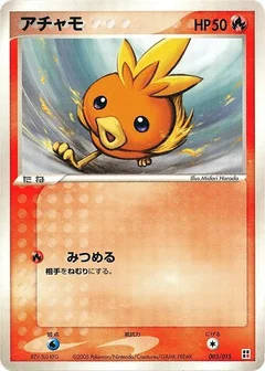 Torchic
