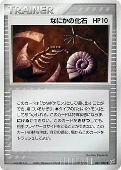 Mysterious Fossil