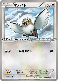 Pidove - 002/BW-P