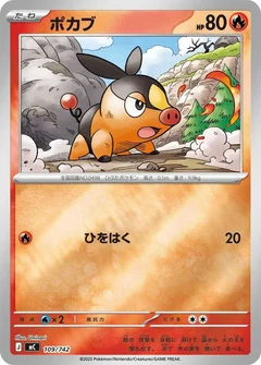 Tepig - 109/742 (Mirror Holo)