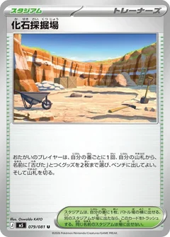 Fossil Excavation Site