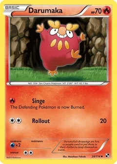 Darumaka (24)