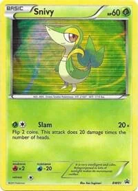 Snivy - BW01